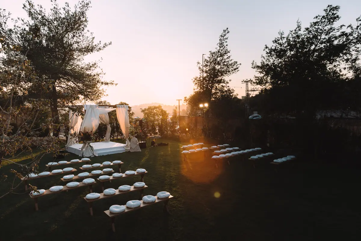 The garden at sunset